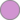 Color D194D1.png