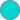 Color 00D6D6.png