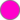 Color FF00CC.png