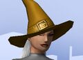 Witch Classic Hat